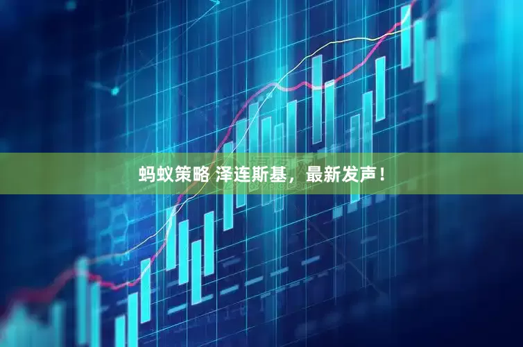 蚂蚁策略 泽连斯基，最新发声！